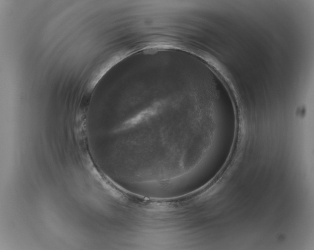 X0000113551385200910021520