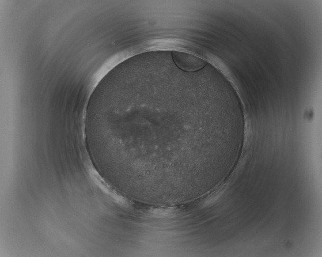 X0000113551386200910021520