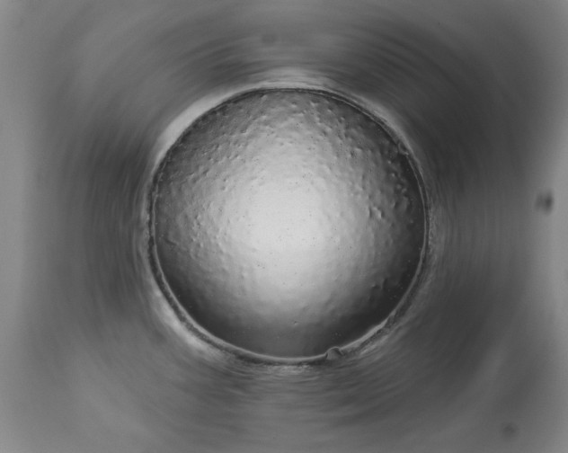 X0000113551387200910021520