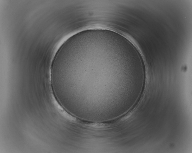 X0000113551388200910021520