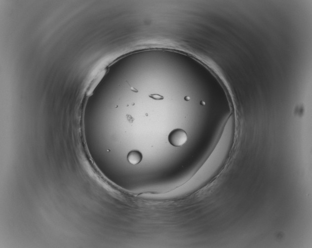 X0000113551389200910021520