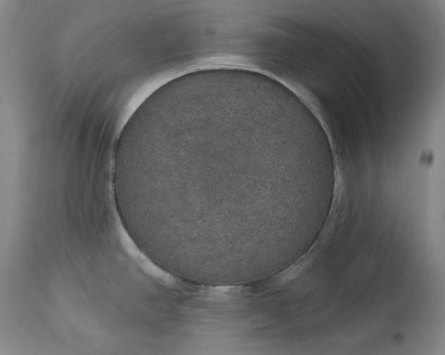 X0000113551390200910021520