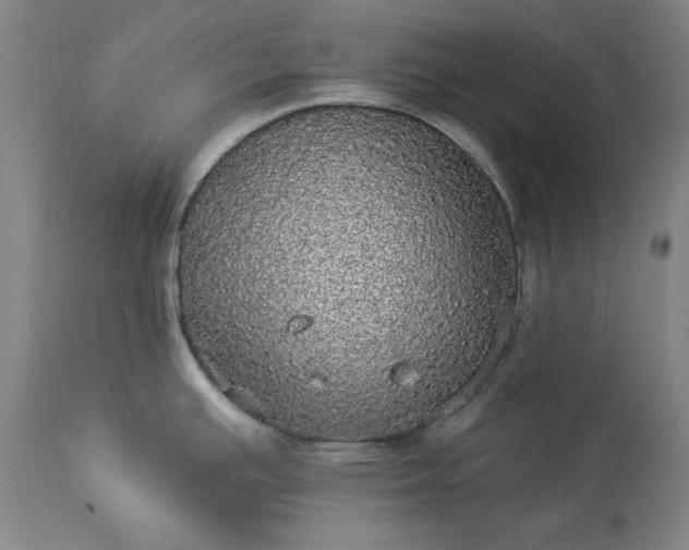 X0000113551391200910021520