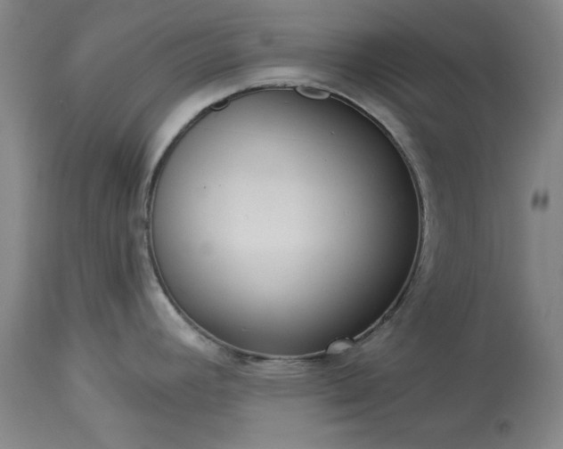 X0000113551392200910021520