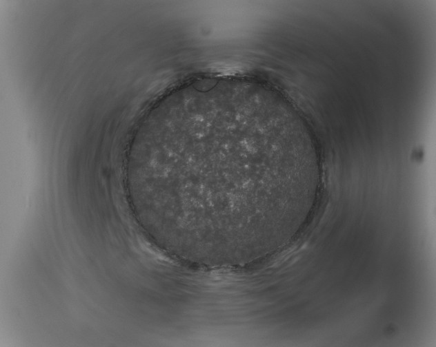 X0000113551393200910021519