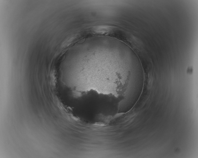 X0000113551394200910021519