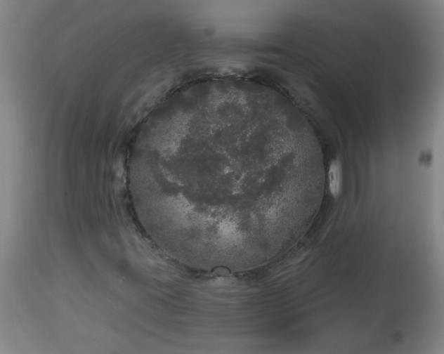 X0000113551395200910021519