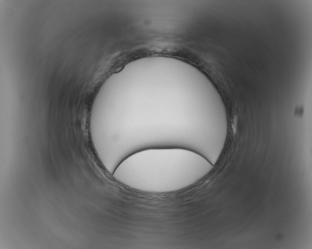 X0000113551396200910021519