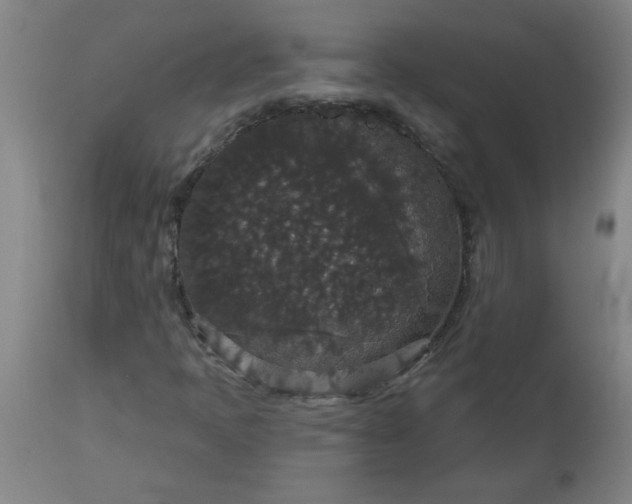 X0000113551397200910021519