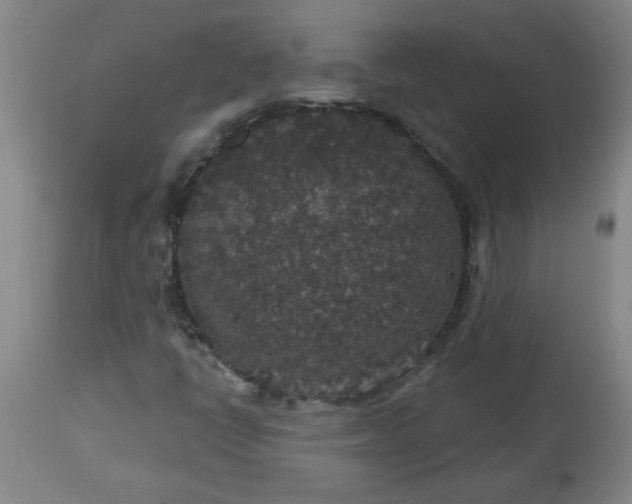 X0000113551398200910021519