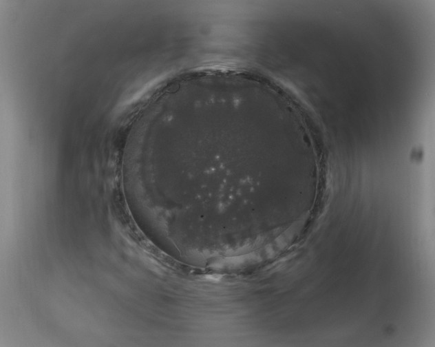 X0000113551399200910021519