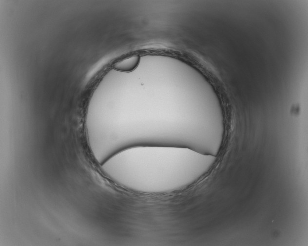 X0000113551400200910021519