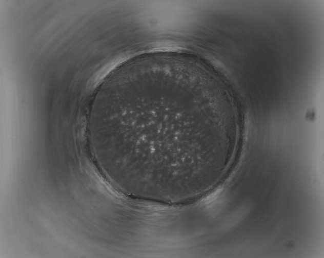 X0000113551401200910021519