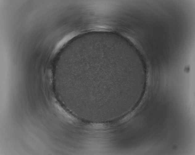 X0000113551402200910021519