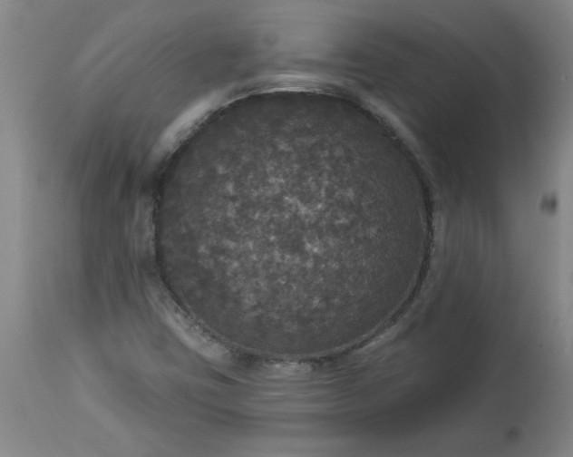 X0000113551403200910021519