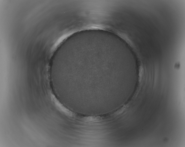 X0000113551404200910021519