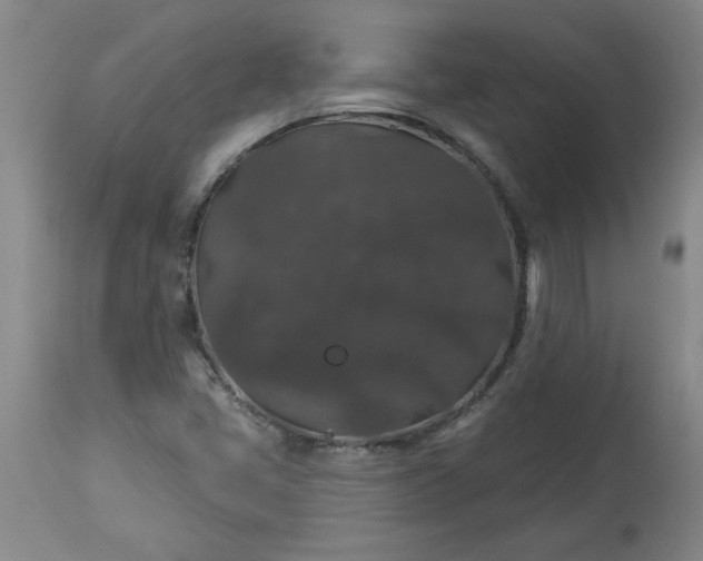 X0000113551405200910021519