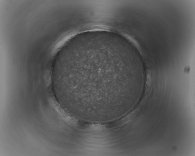 X0000113551407200910021519