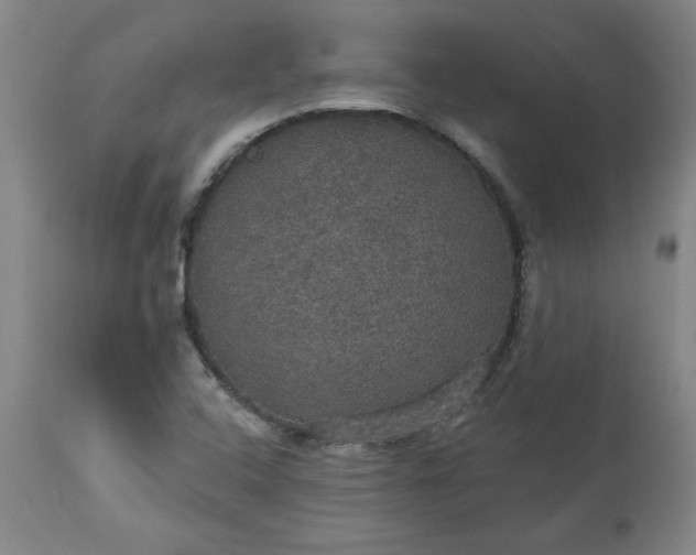 X0000113551408200910021519