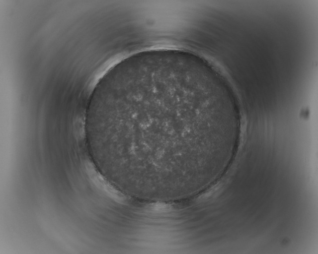 X0000113551409200910021519