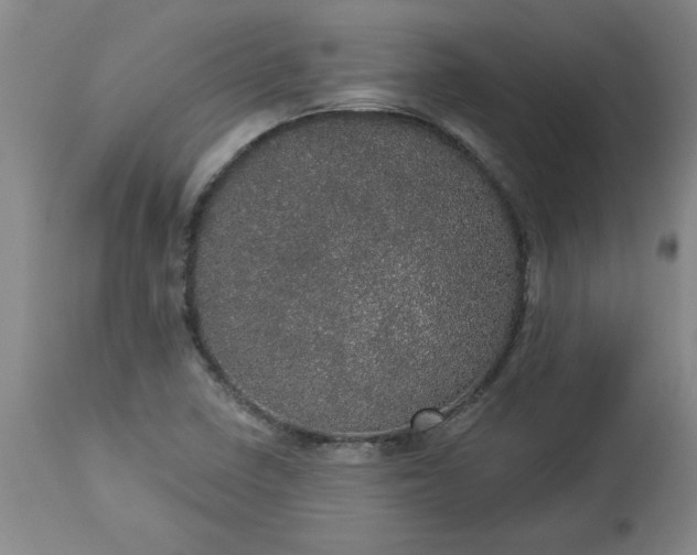 X0000113551410200910021519