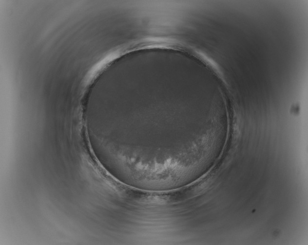 X0000113551411200910021519