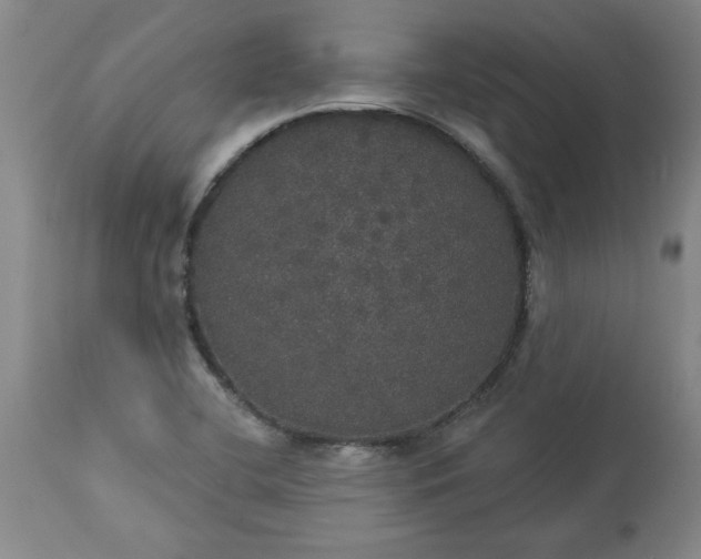 X0000113551412200910021519