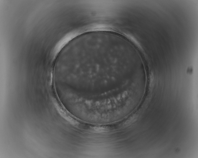 X0000113551413200910021519