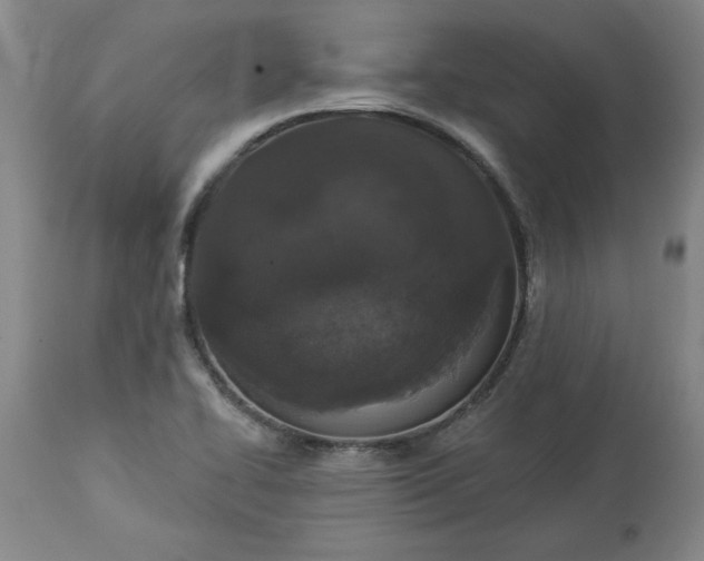 X0000113551414200910021519