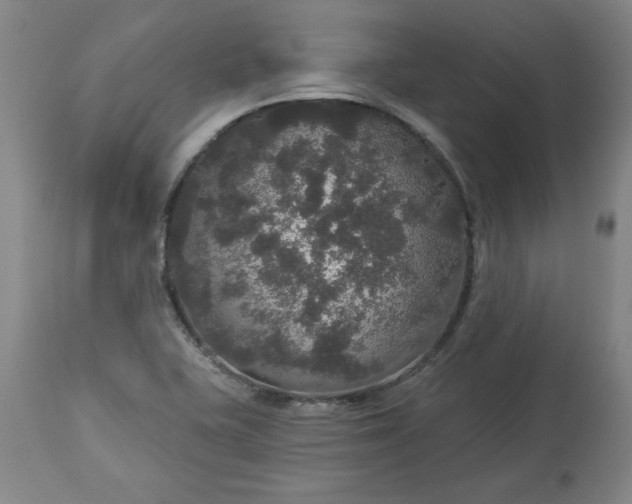 X0000113551415200910021520