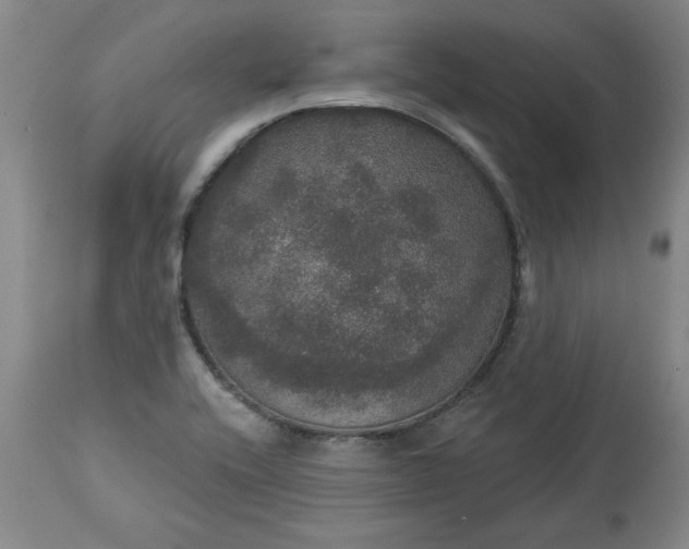 X0000113551416200910021520