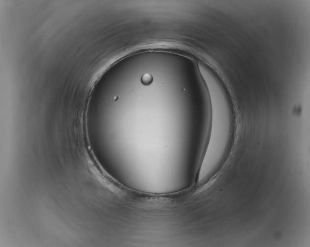 X0000113551417200910021520