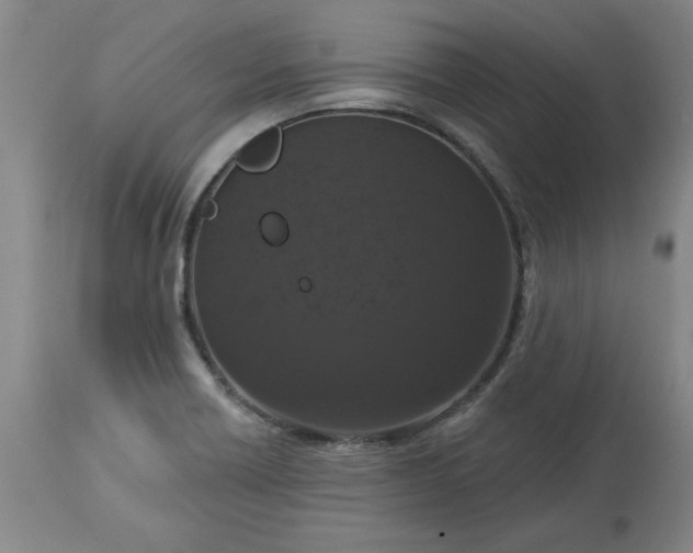 X0000113551418200910021520