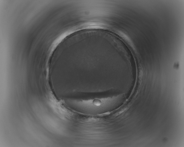 X0000113551419200910021520