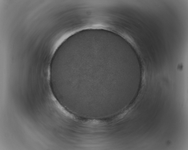 X0000113551420200910021520