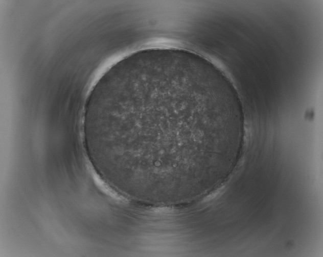 X0000113551421200910021520