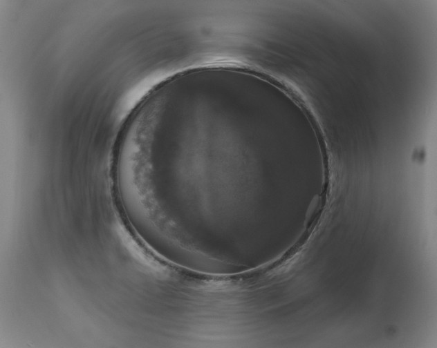 X0000113551422200910021520