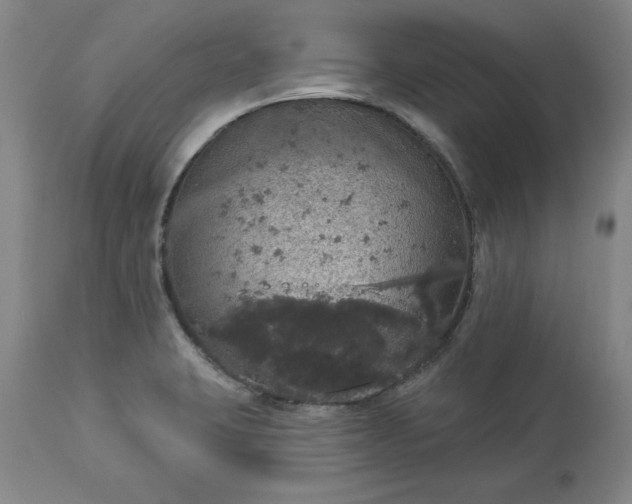 X0000113551423200910021520