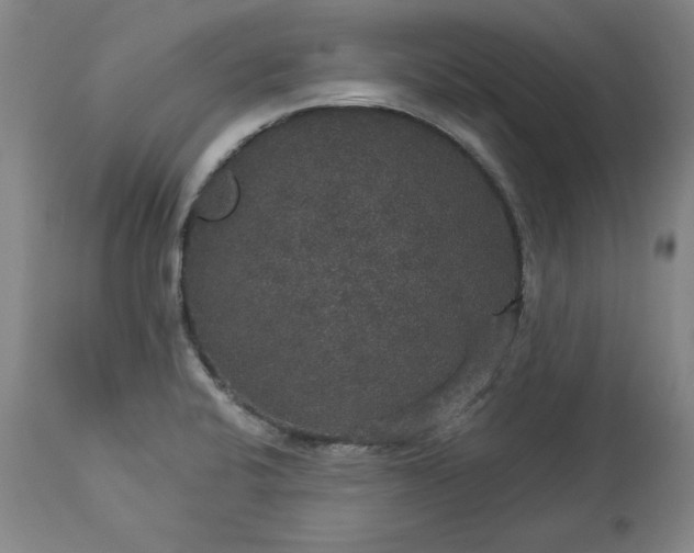 X0000113551424200910021520