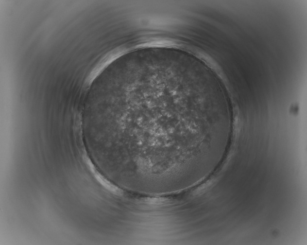 X0000113551425200910021520