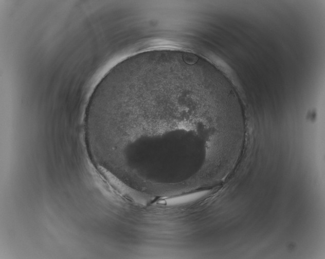 X0000113551427200910021520