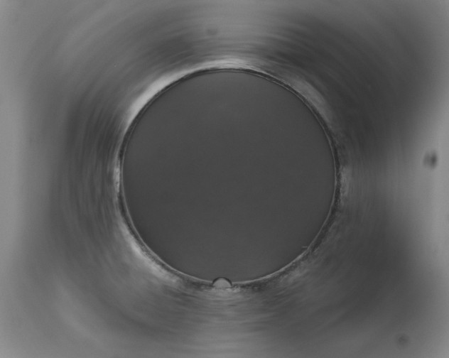 X0000113551428200910021520