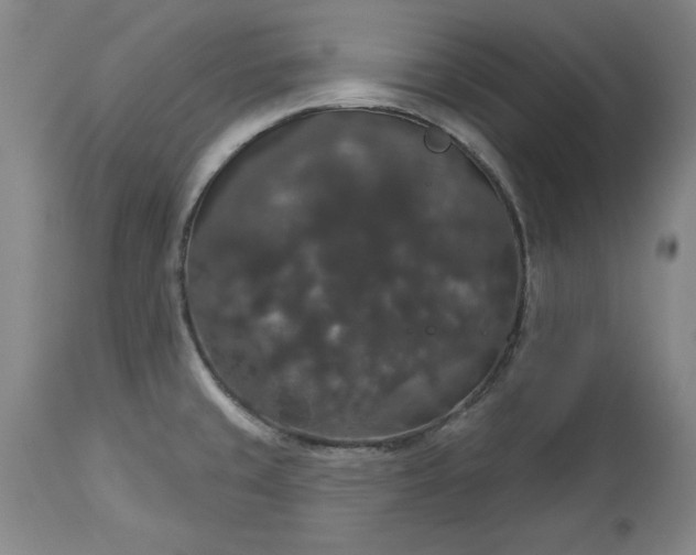 X0000113551429200910021520