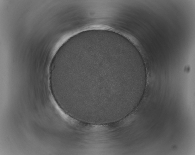 X0000113551430200910021520