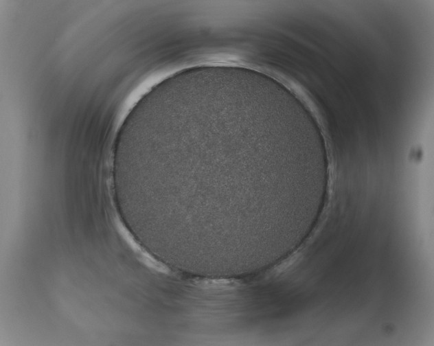 X0000113551432200910021520