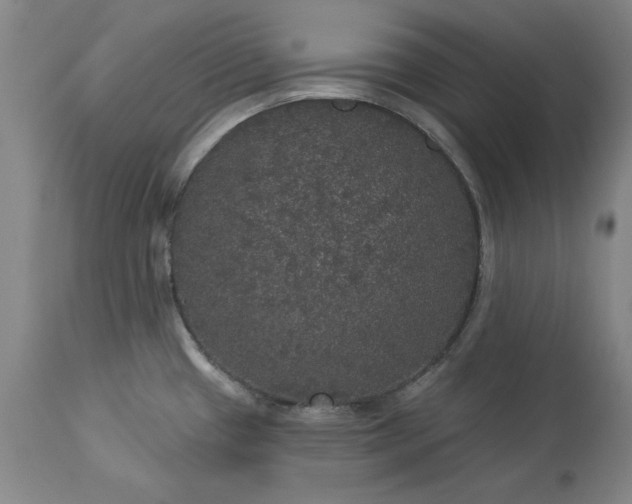 X0000113551433200910021520