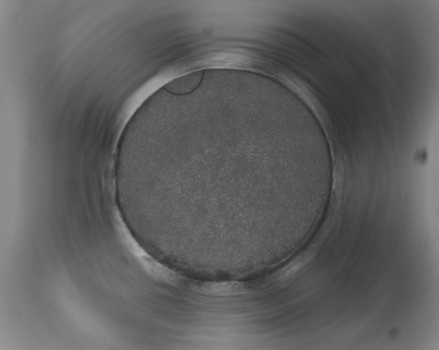 X0000113551434200910021520