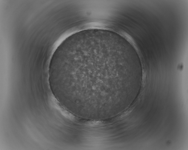 X0000113551435200910021520