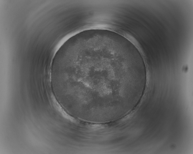 X0000113551436200910021520