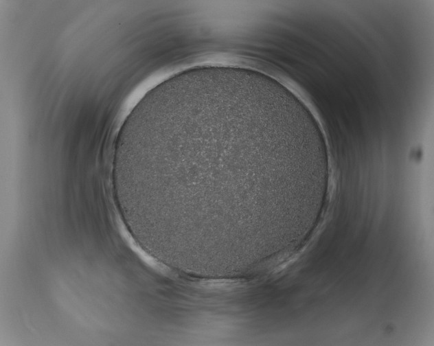 X0000113551437200910021520